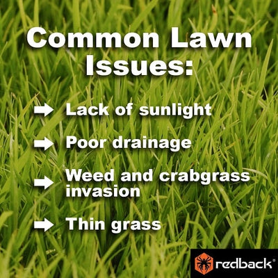 How to Fix an Unhealthy Lawn